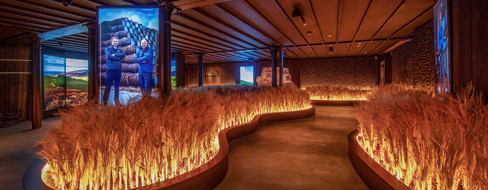 fibre optic lighting in the Glenlivet visitor centre