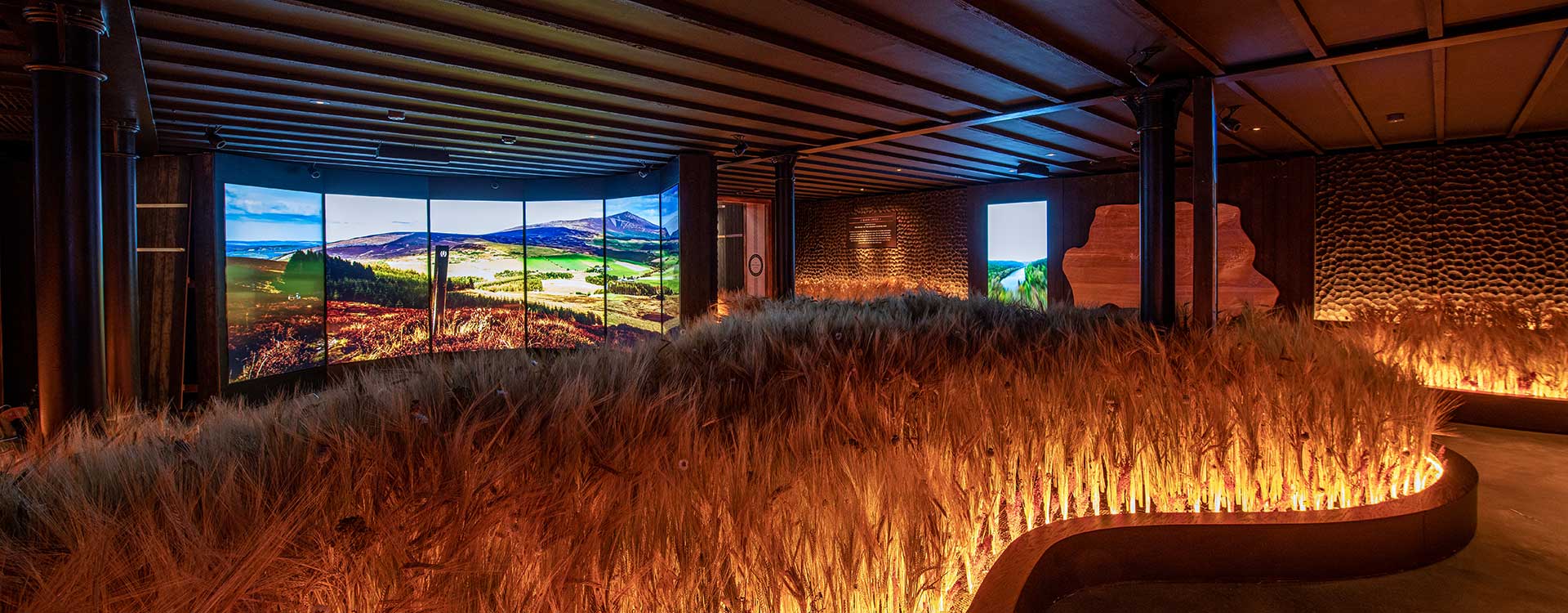 fibre optic lighting in the Glenlivet visitor centre